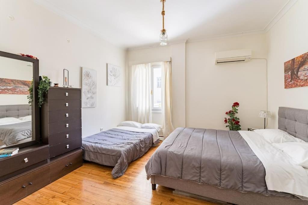 Amazing 3Bdr Apt With Unique Roof Garden In Plaka เอเธนส์ ภายนอก รูปภาพ
