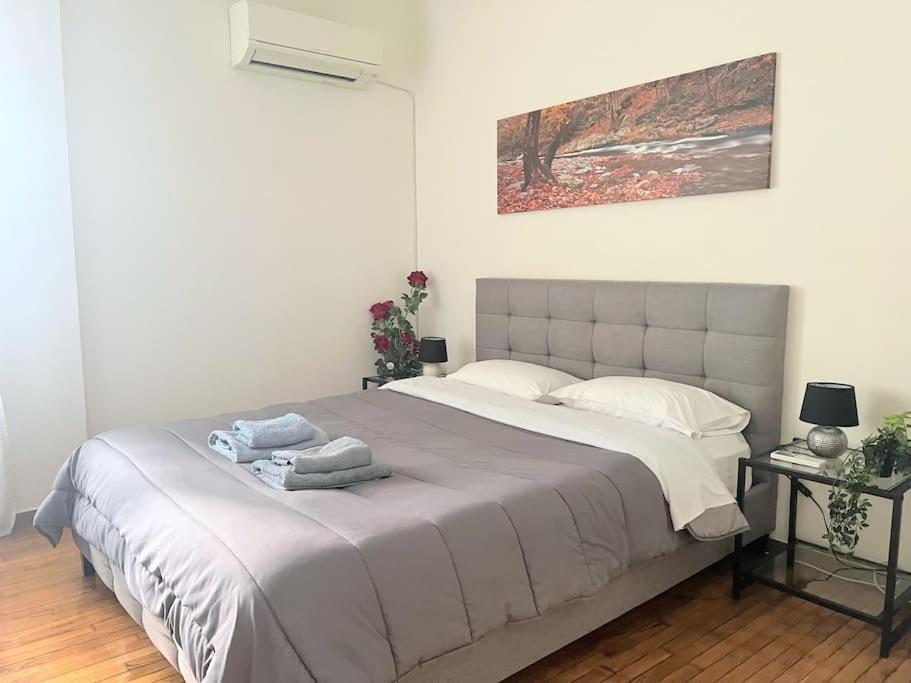 Amazing 3Bdr Apt With Unique Roof Garden In Plaka เอเธนส์ ภายนอก รูปภาพ
