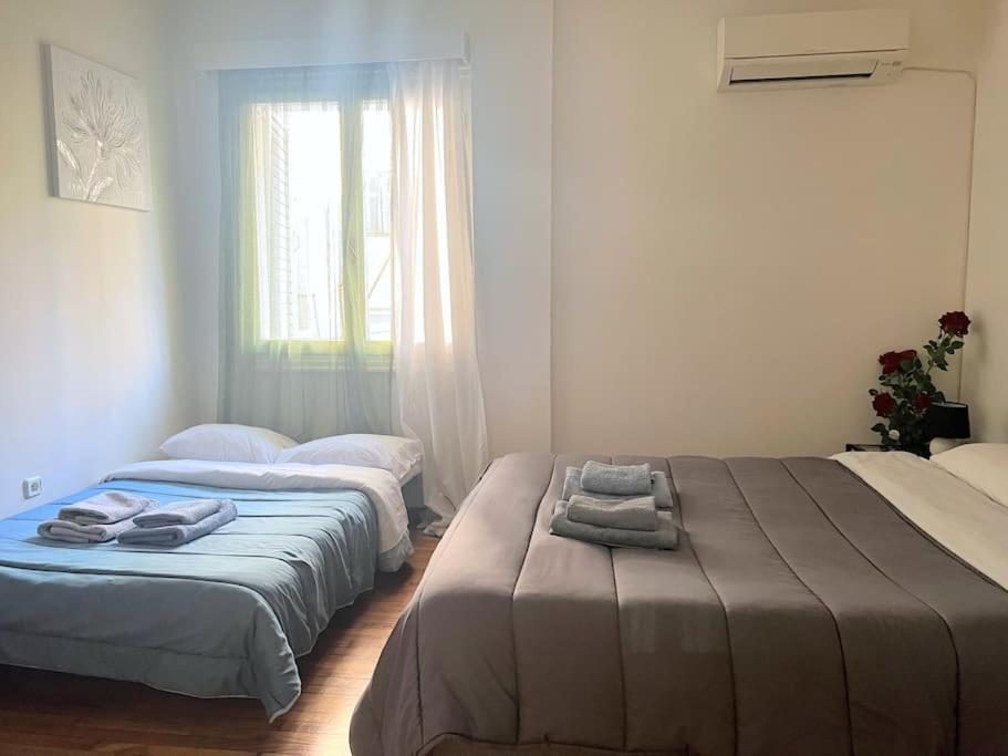 Amazing 3Bdr Apt With Unique Roof Garden In Plaka เอเธนส์ ภายนอก รูปภาพ