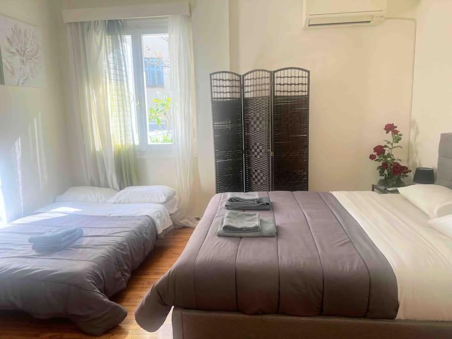 Amazing 3Bdr Apt With Unique Roof Garden In Plaka เอเธนส์ ภายนอก รูปภาพ